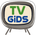 Icono de TVGiDS PRO